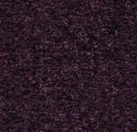 Byzantine Purple